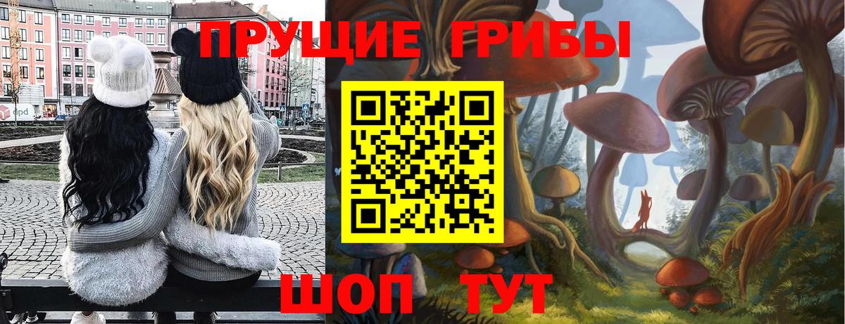 Псилоцибиновые грибы MAGIC MUSHROOMS  Галлюциногенные грибы Magic Shrooms  Саратов  где найти   Вход с VPN 