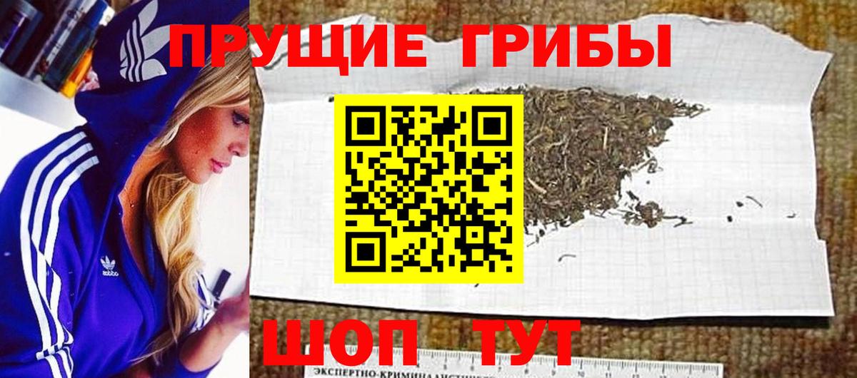 Псилоцибиновые грибы мицелий Саратов